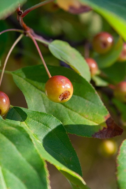 基维奥尔：我在波尔图适应得很快，很开心与贝德纳雷克共事
